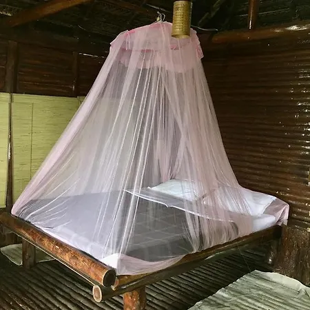 Aranyakam Home Stay Meppadi Exterior photo