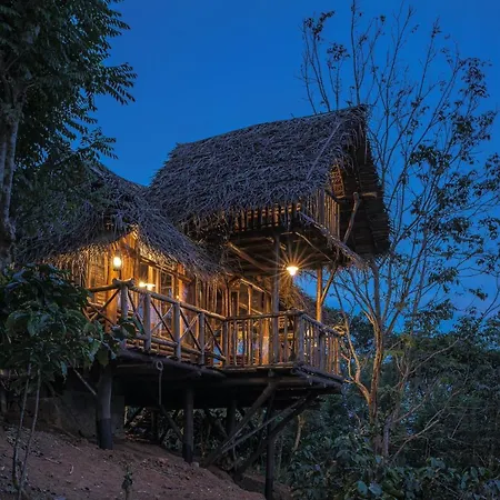 Aranyakam Home Stay Meppadi Exterior photo