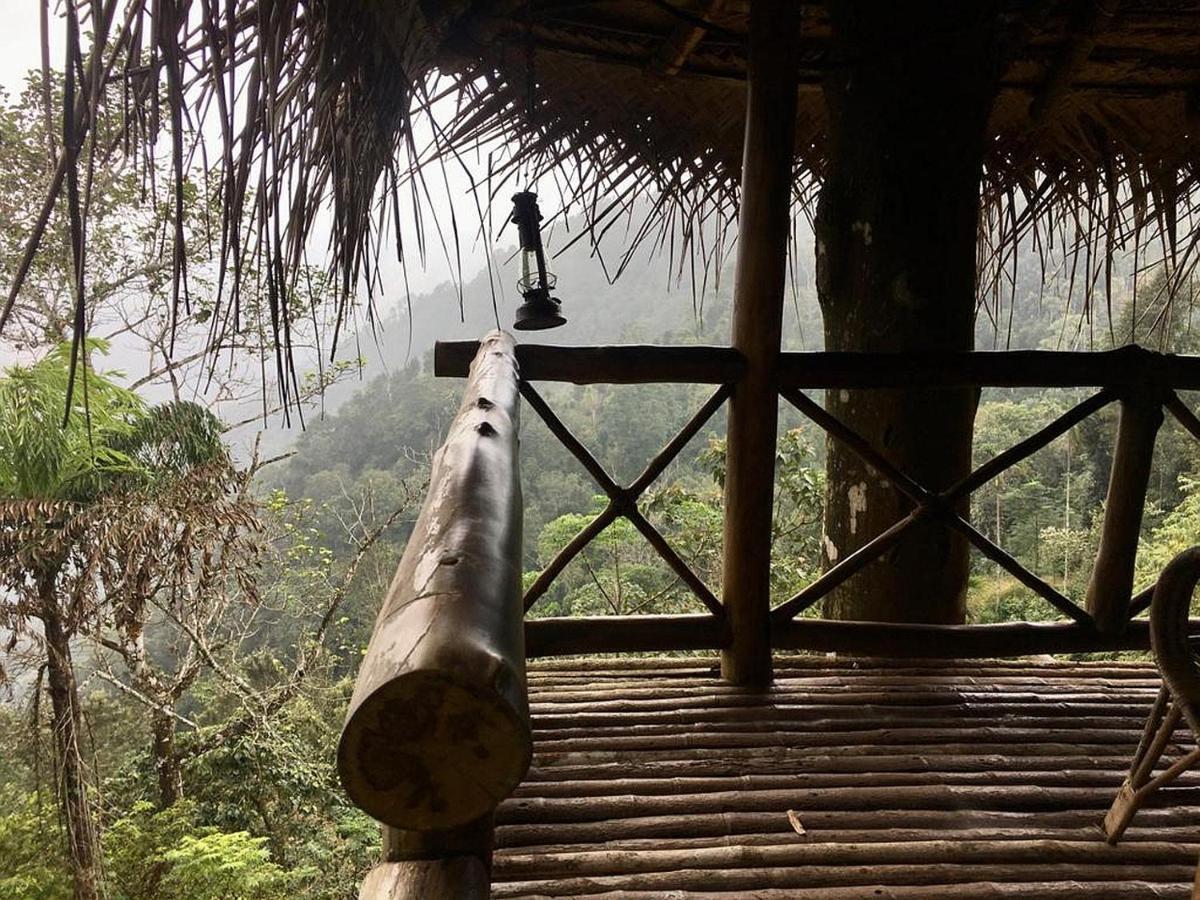 Aranyakam Homestay Meppadi