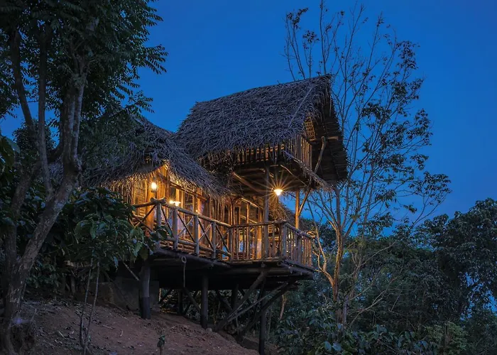 Aranyakam Home Stay