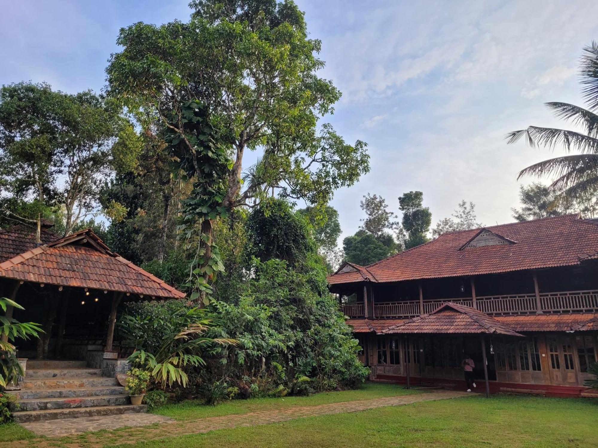 Aranyakam * Meppadi