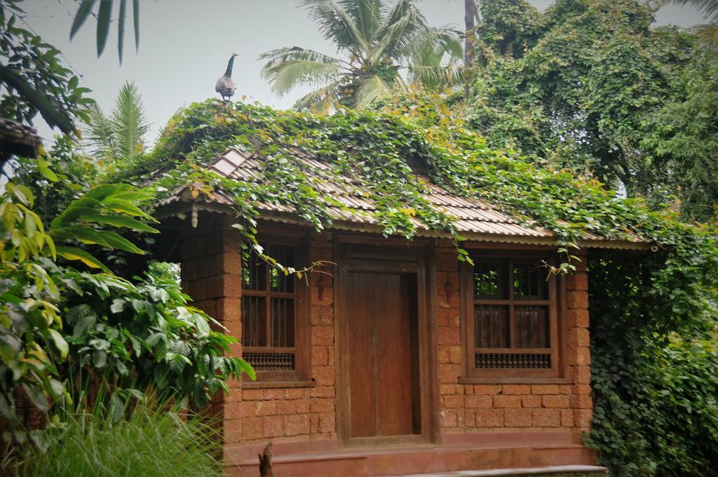Aranyakam Meppadi