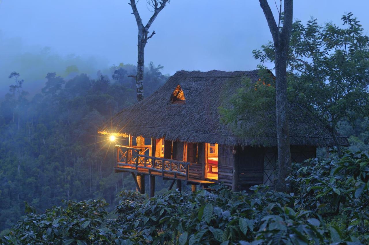 Homestay Aranyakam