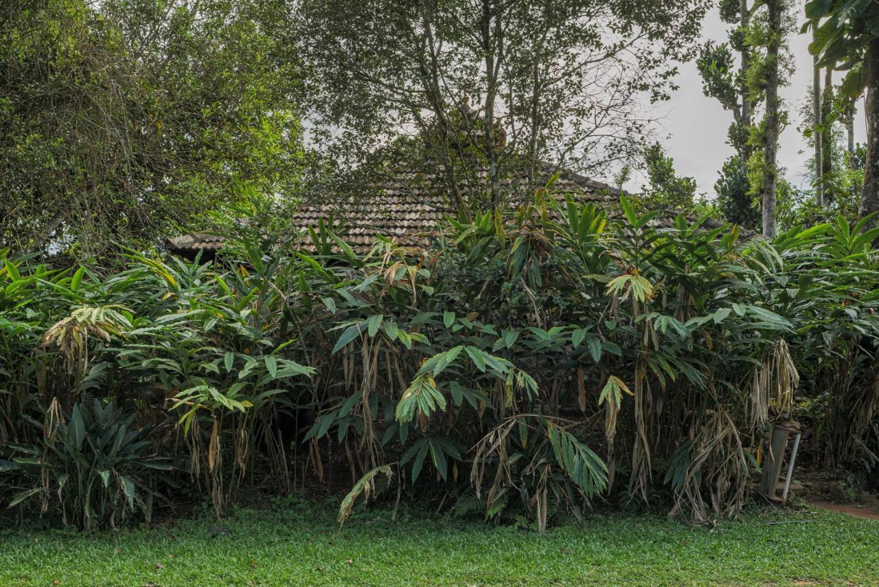 Aranyakam Homestay
