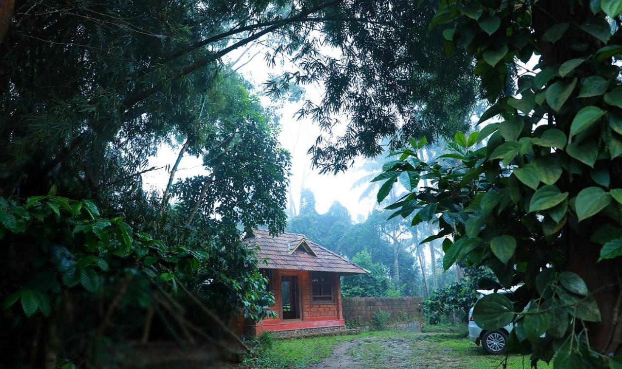 Homestay Aranyakam