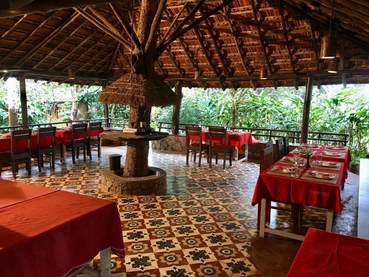 Aranyakam Homestay *