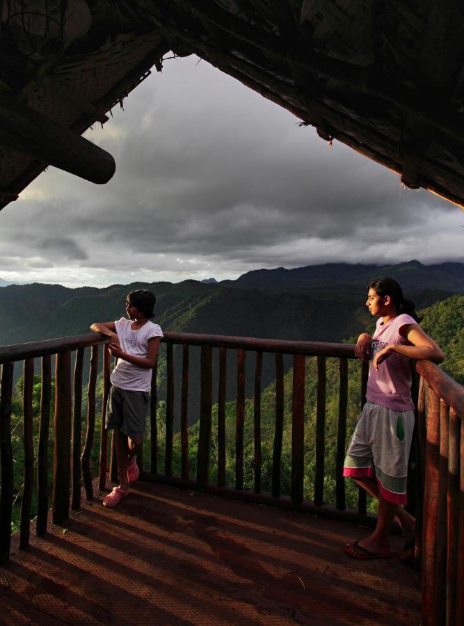 Homestay Aranyakam Meppadi