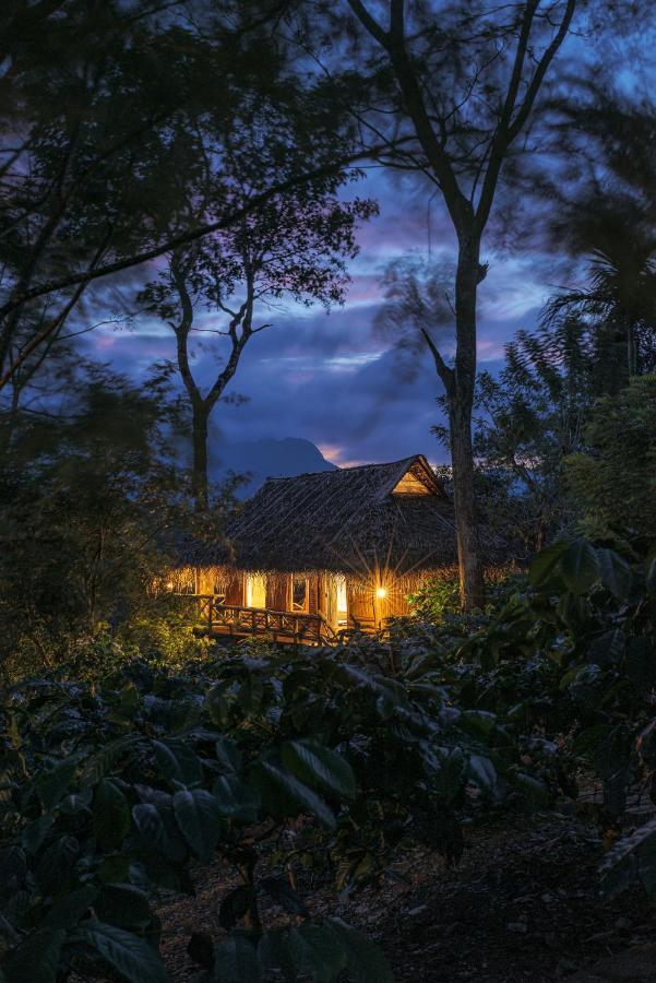 Homestay Aranyakam